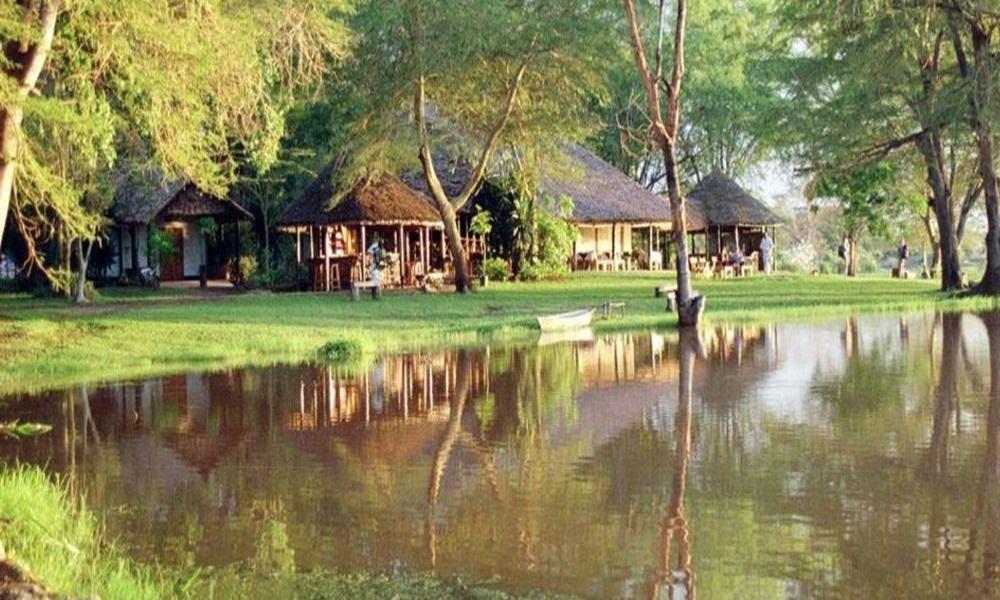Ziwani Camp