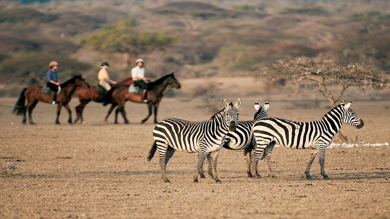 Horseback Safari